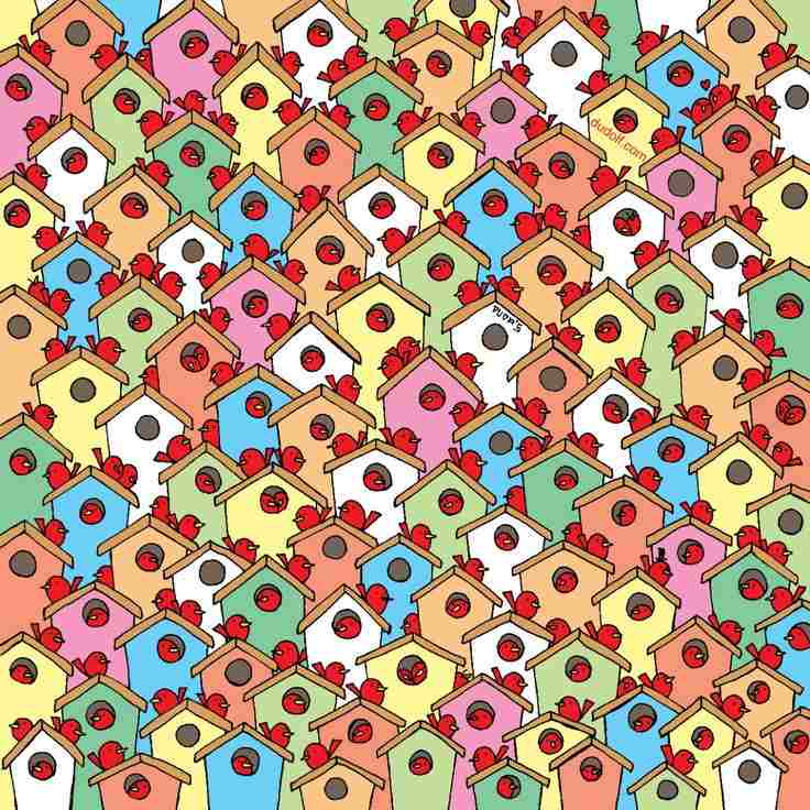 where are the dudolf in the picture